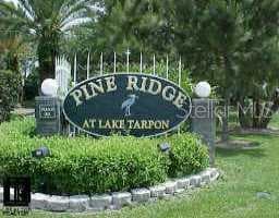 1236 Pine Ridge CIRCLE W UNIT 114e2 Tarpon Springs, FL 34688