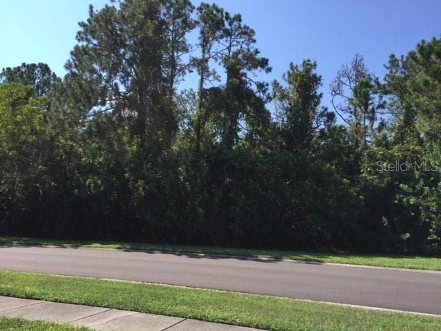 POST ROCK COURT TARPON SPRINGS, FL 34688