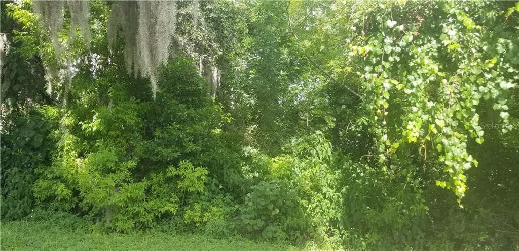 ROWAN ROAD NEW PORT RICHEY, FL 34653