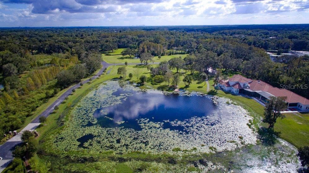 309 GRANDE GROVE COURT LUTZ, FL 33549