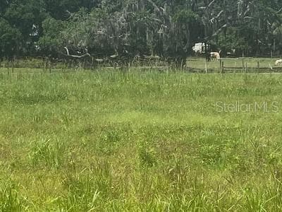 DURANT ROAD DOVER, FL 33527