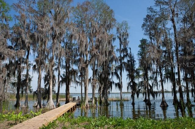 3219 N KINGSWAY ROAD THONOTOSASSA, FL 33592