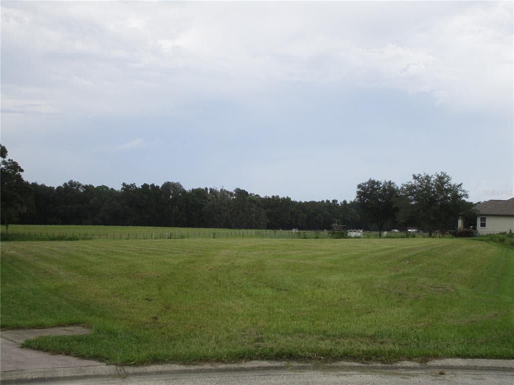 12706 MCINTOSH GROVES LANE THONOTOSASSA, FL 33592
