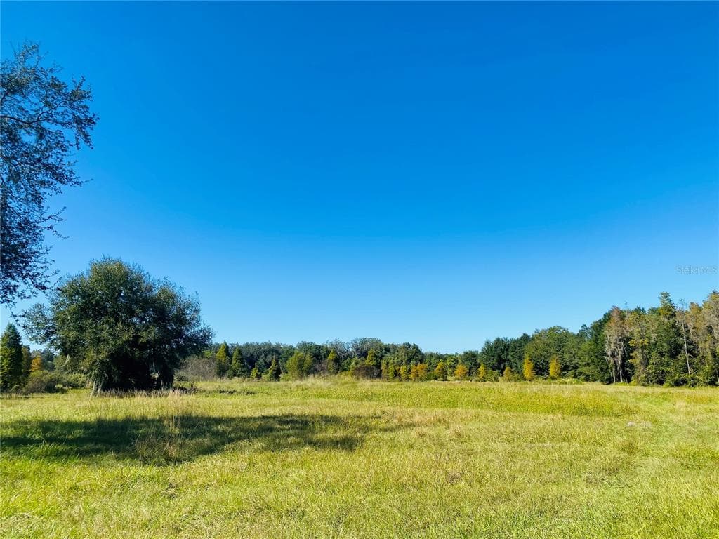 CORREIA DRIVE ZEPHYRHILLS, FL 33542