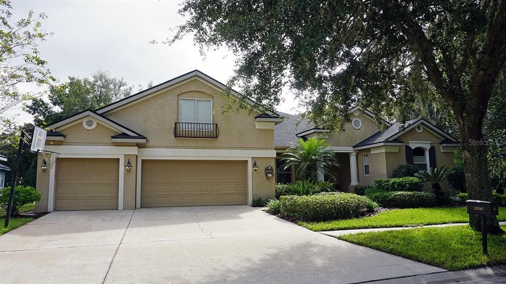 15703 IBISRIDGE DRIVE