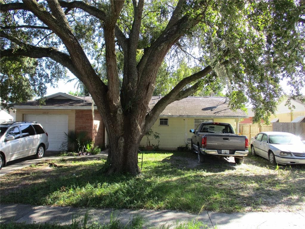 10919 N 29TH STREET TAMPA, FL 33612