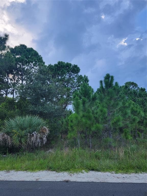 2980 FLAGSTAFF AVENUE SE PALM BAY, FL 32909