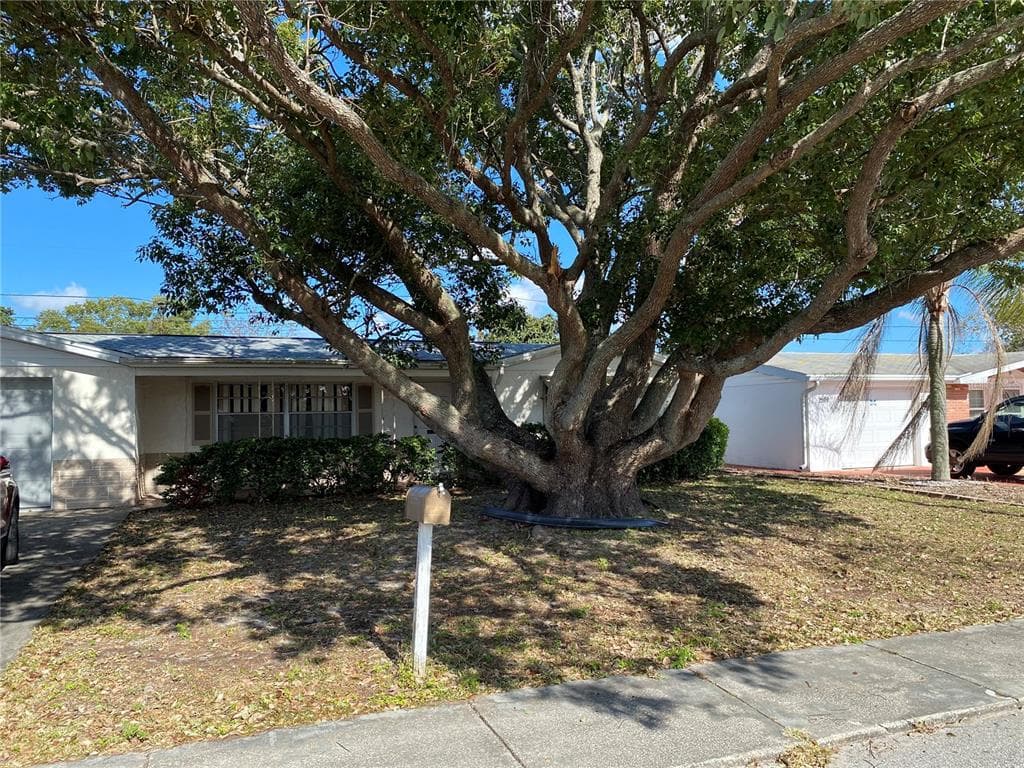 5037 TILSON DRIVE NEW PORT RICHEY, FL 34652