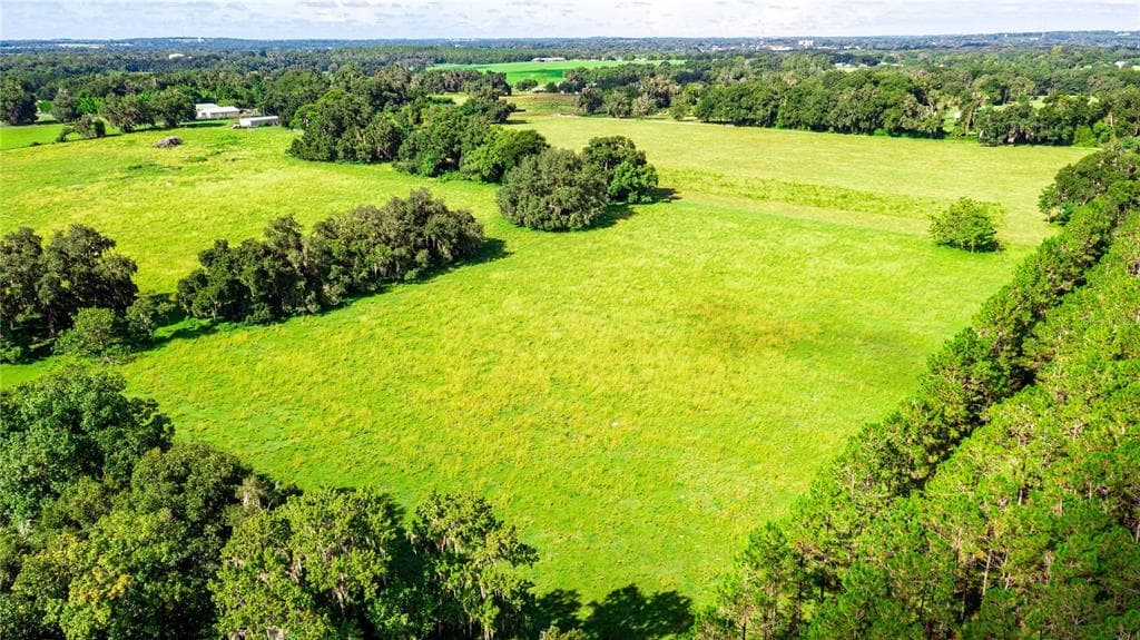 14892 PUCKETT ROAD DADE CITY, FL 33525