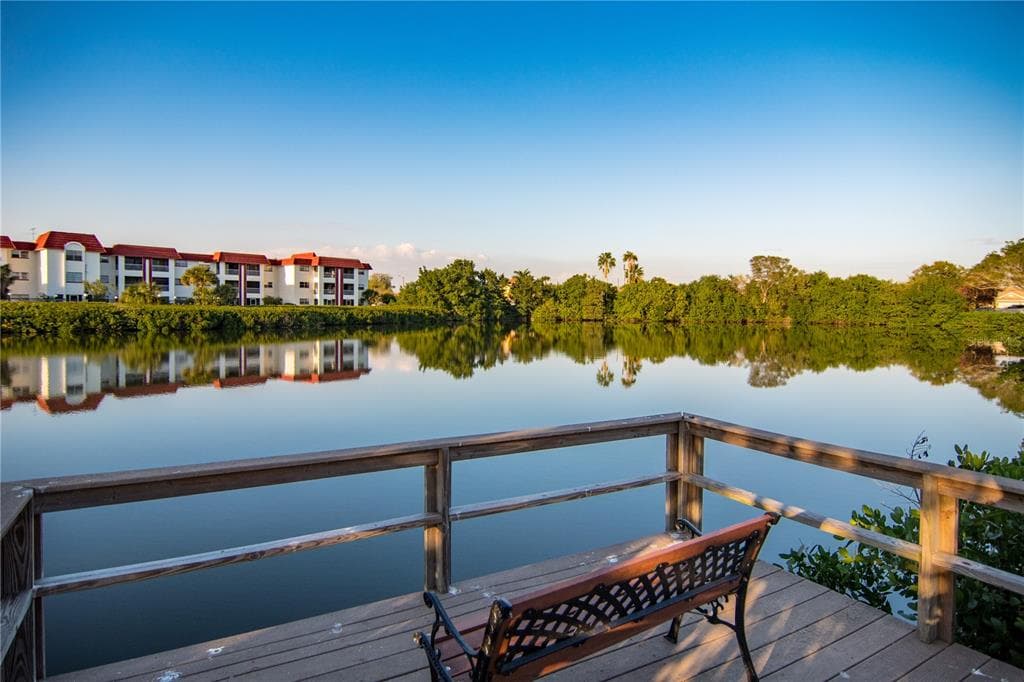 4550 OVERLOOK DRIVE NE UNIT 258 ST PETERSBURG, FL 33703