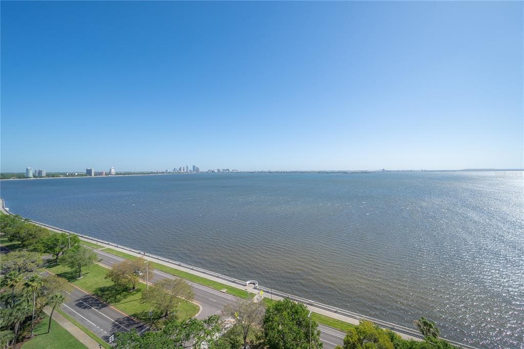 4201 BAYSHORE BOULEVARD UNIT 1402 TAMPA, FL 33611
