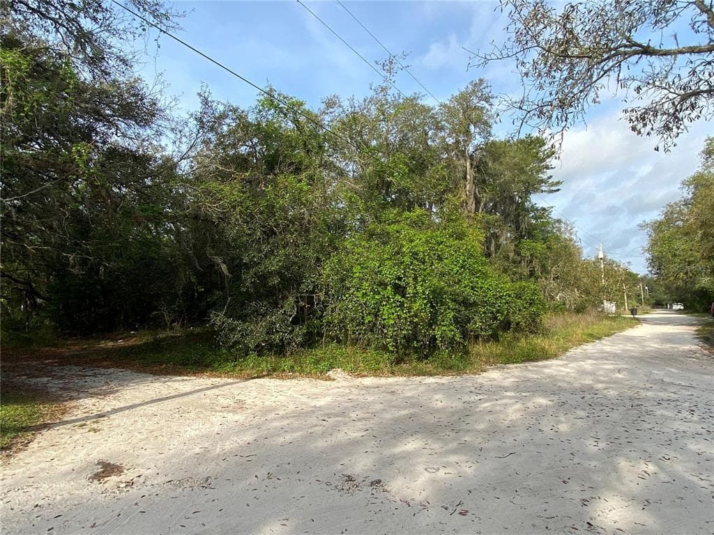 12956 BACK BAY AVENUE NEW PORT RICHEY, FL 34652