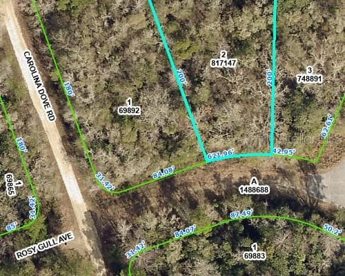 ROSY GULL AVENUE WEEKI WACHEE, FL 34614