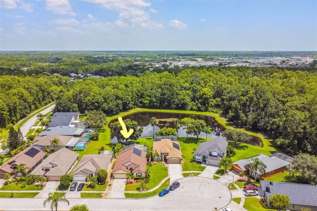 12550 BLAZING STAR DRIVE TAMPA, FL 33626