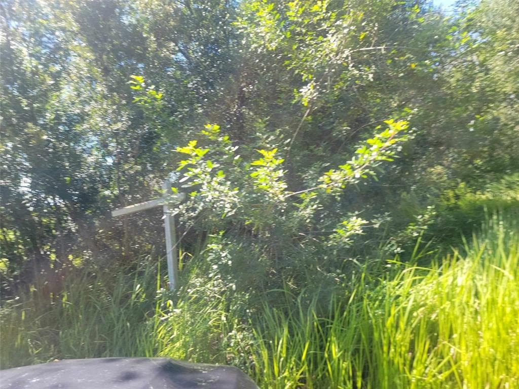 SUMNER ROAD
