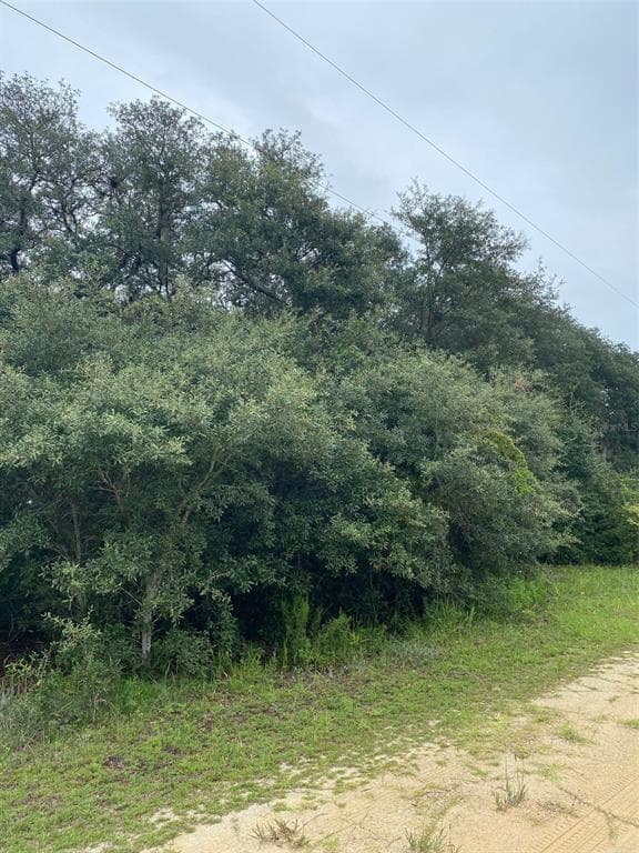 220 COMO CIRCLE INTERLACHEN, FL 32148