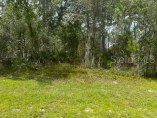 8121 NORDICA ROAD WEEKI WACHEE, FL 34613