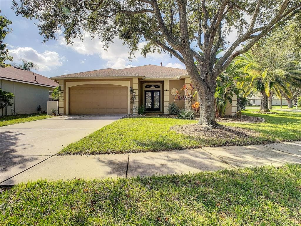 19127 GOLDEN CACOON PLACE LUTZ, FL 33558