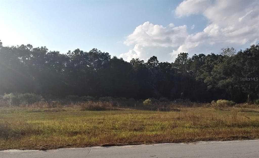 422 S SCARBORO AVENUE LECANTO, FL 34461