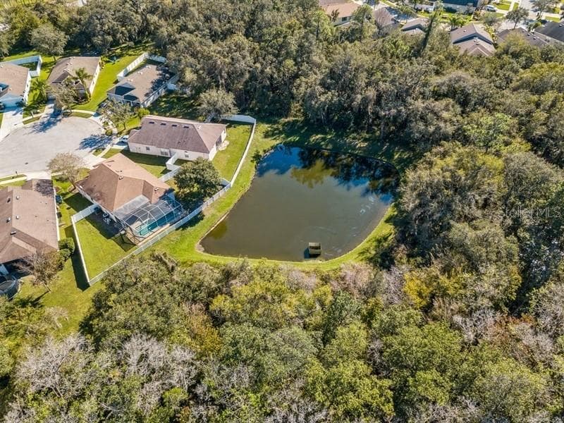 34510 CLIFFCREEK COURT WESLEY CHAPEL, FL 33545
