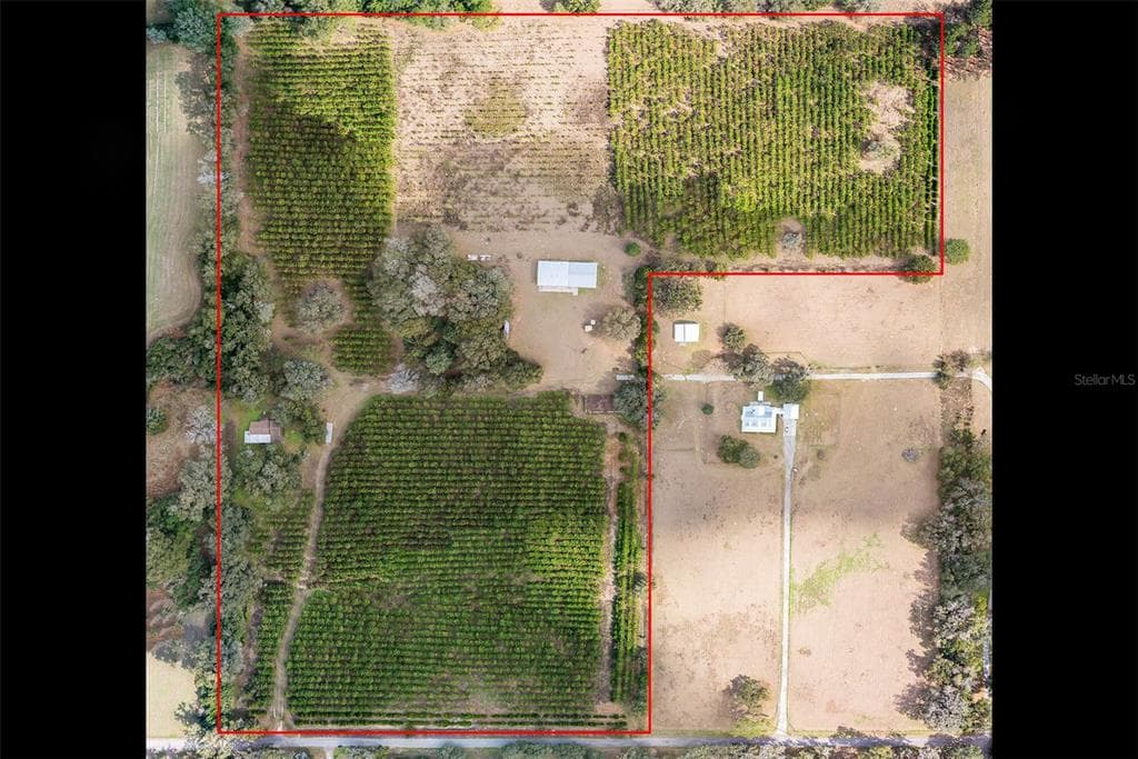4448 WHITE ROAD BROOKSVILLE, FL 34602