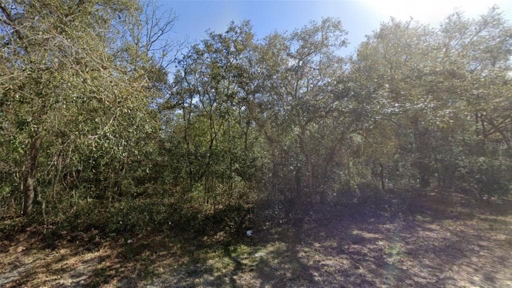 14358 ERMINE OWL ROAD WEEKI WACHEE, FL 34614
