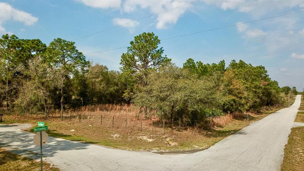 NORMANDEAU & CARTHAGE SPRING HILL, FL 34610