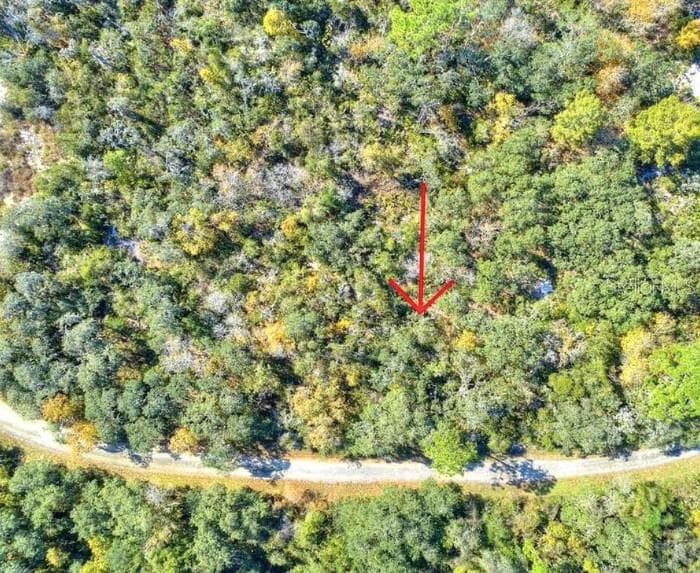 1216 CACOA ROAD