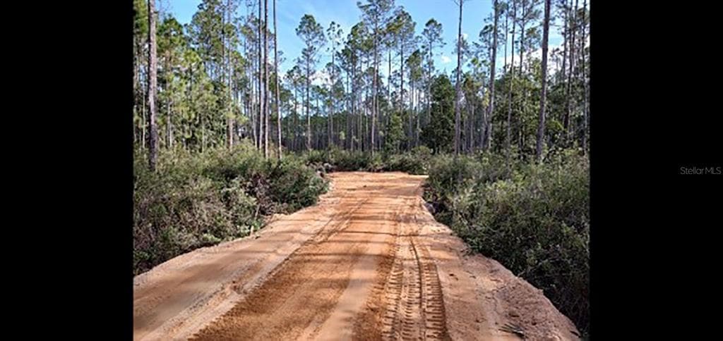 TRACT 1 NE 130TH AVE FORT MC COY, FL 32134