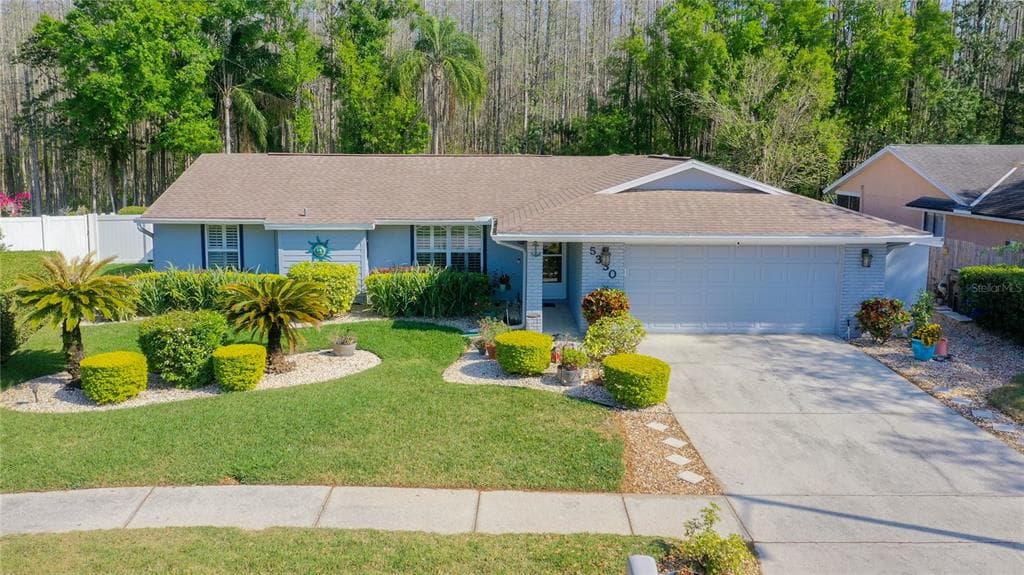 5330 BLACK PINE DRIVE TAMPA, FL 33624
