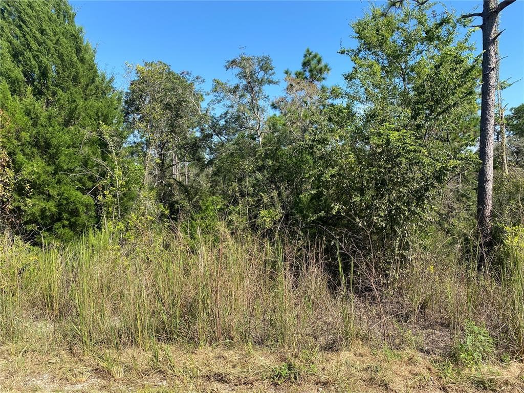 HARRISON STREET BROOKSVILLE, FL 34613
