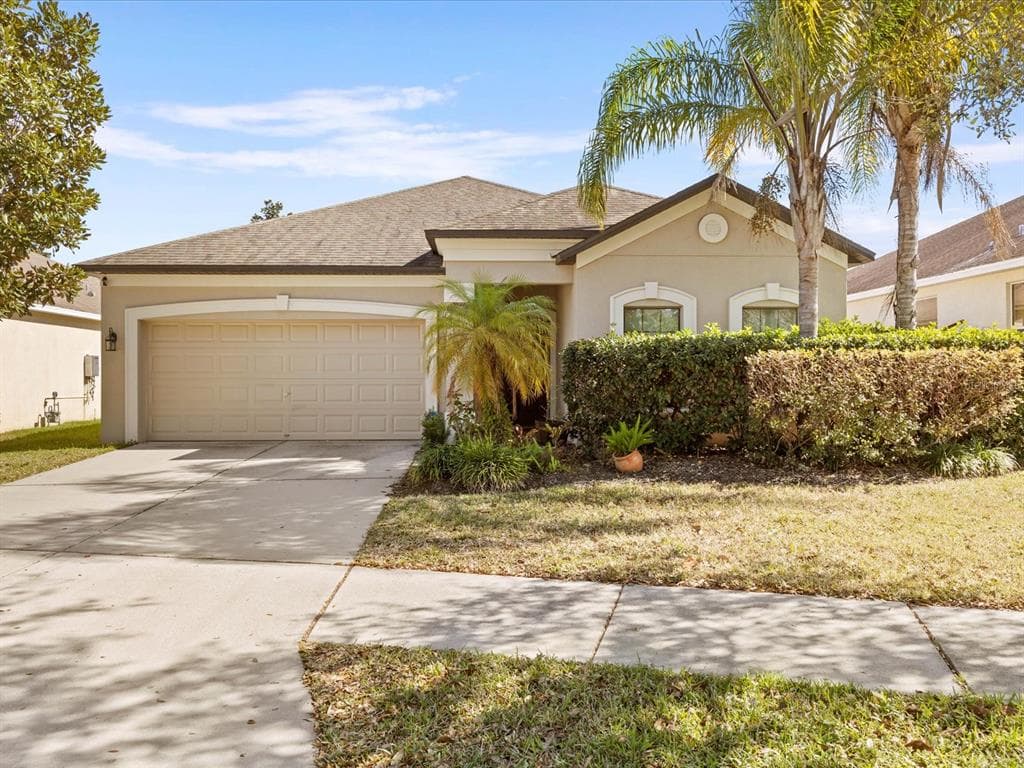 1317 MISTY VALLEY DRIVE BRANDON, FL 33510