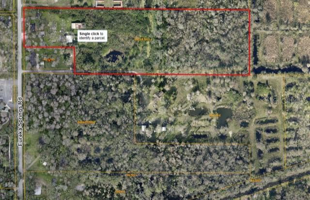 6441 EUREKA SPRINGS ROAD TAMPA, FL 33610