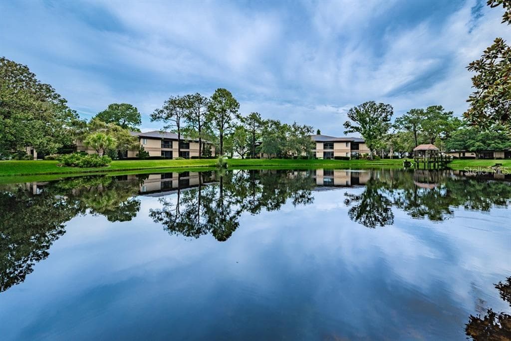2671 SABAL SPRINGS CIRCLE UNIT 203 CLEARWATER, FL 33761