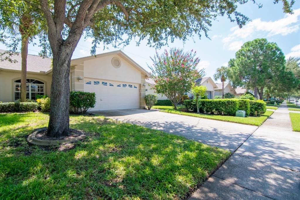 3051 BROOKFIELD LANE CLEARWATER, FL 33761