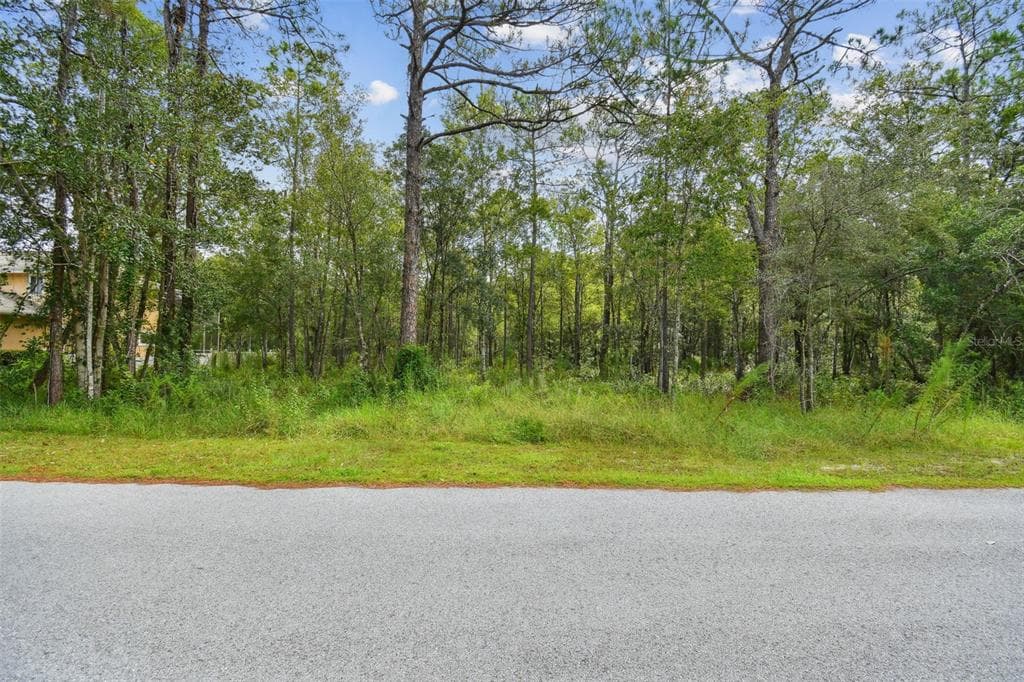CYPRESS TRAIL TARPON SPRINGS, FL 34688