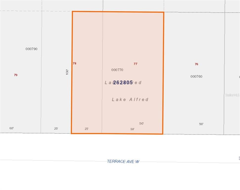 285 W TERRACE AVENUE LAKE ALFRED, FL 33850