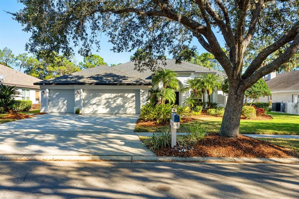 5433 BURNT HICKORY DRIVE VALRICO, FL 33596