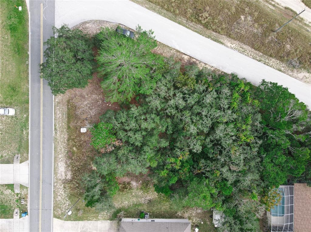 3416 LEMA DRIVE SPRING HILL, FL 34609