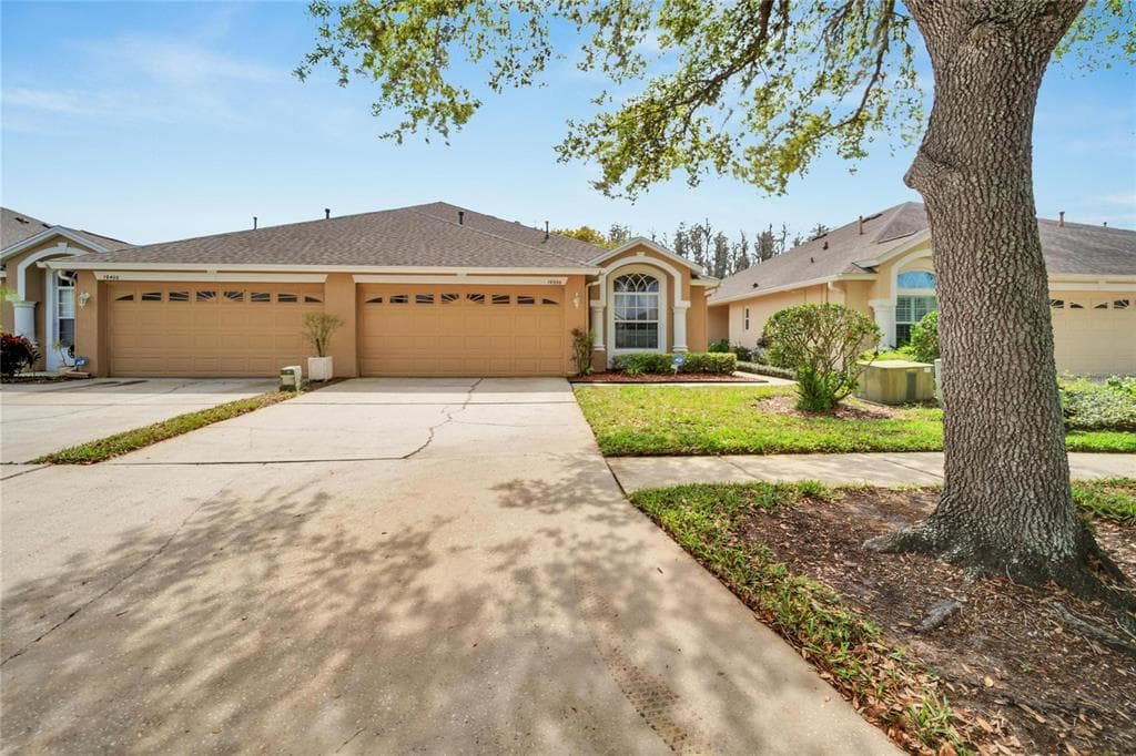 19356 HASKELL PLACE LAND O LAKES, FL 34638