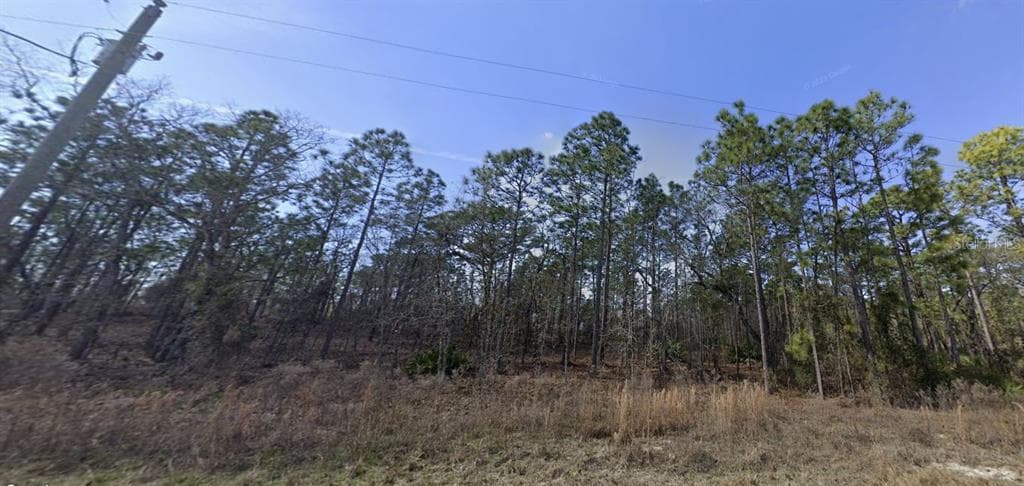 16391 GREENBACK ROAD WEEKI WACHEE, FL 34614
