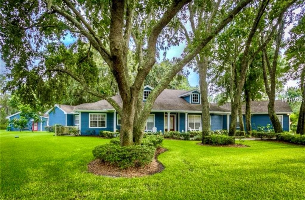 11010 NEST COURT ODESSA, FL 33556