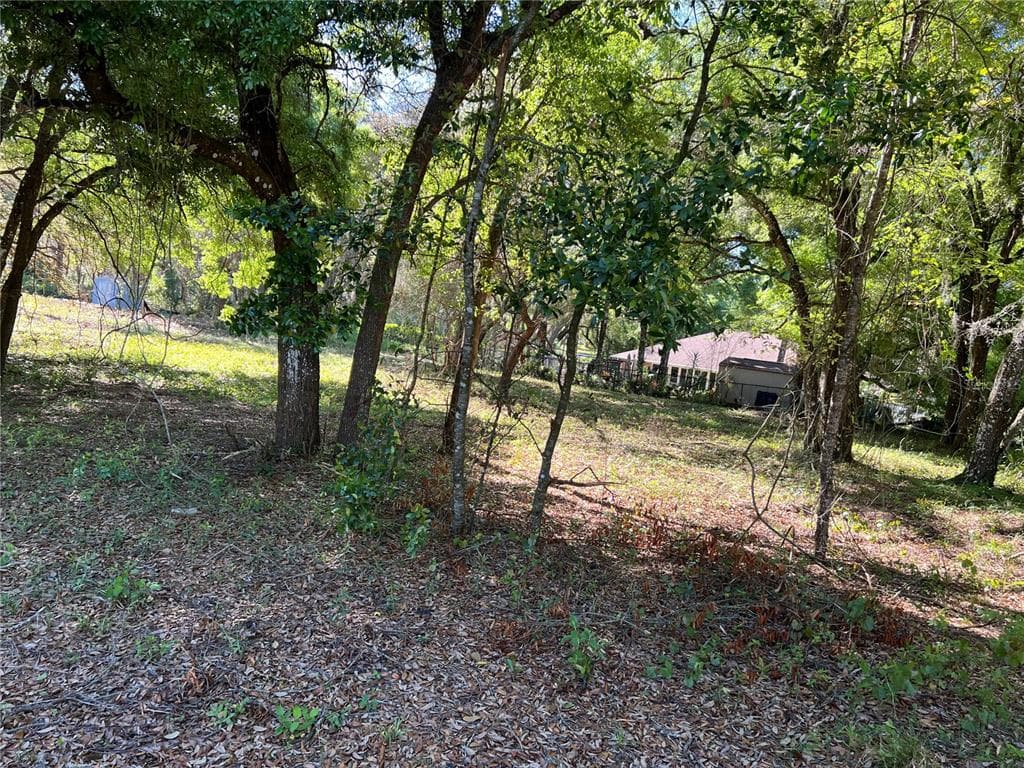 34028 DIPLOMAT STREET DADE CITY, FL 33523