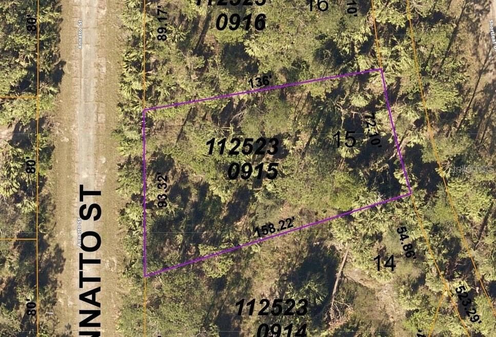 ANNATTO STREET NORTH PORT, FL 34288