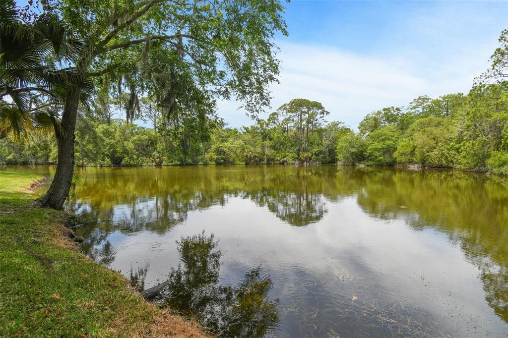 4726 PEBBLE BROOK DRIVE OLDSMAR, FL 34677