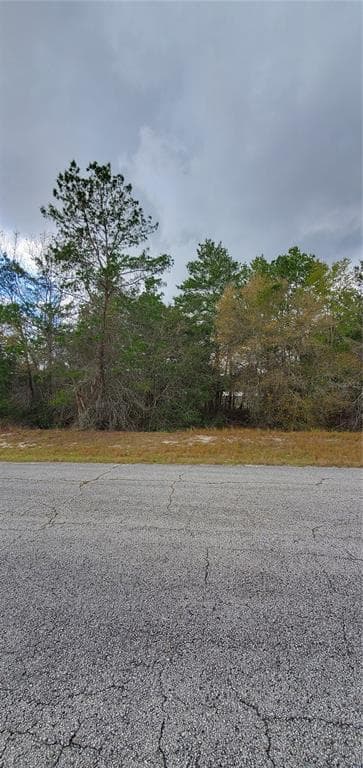1428 HILLSBOROUGH DRIVE POINCIANA, FL 34759