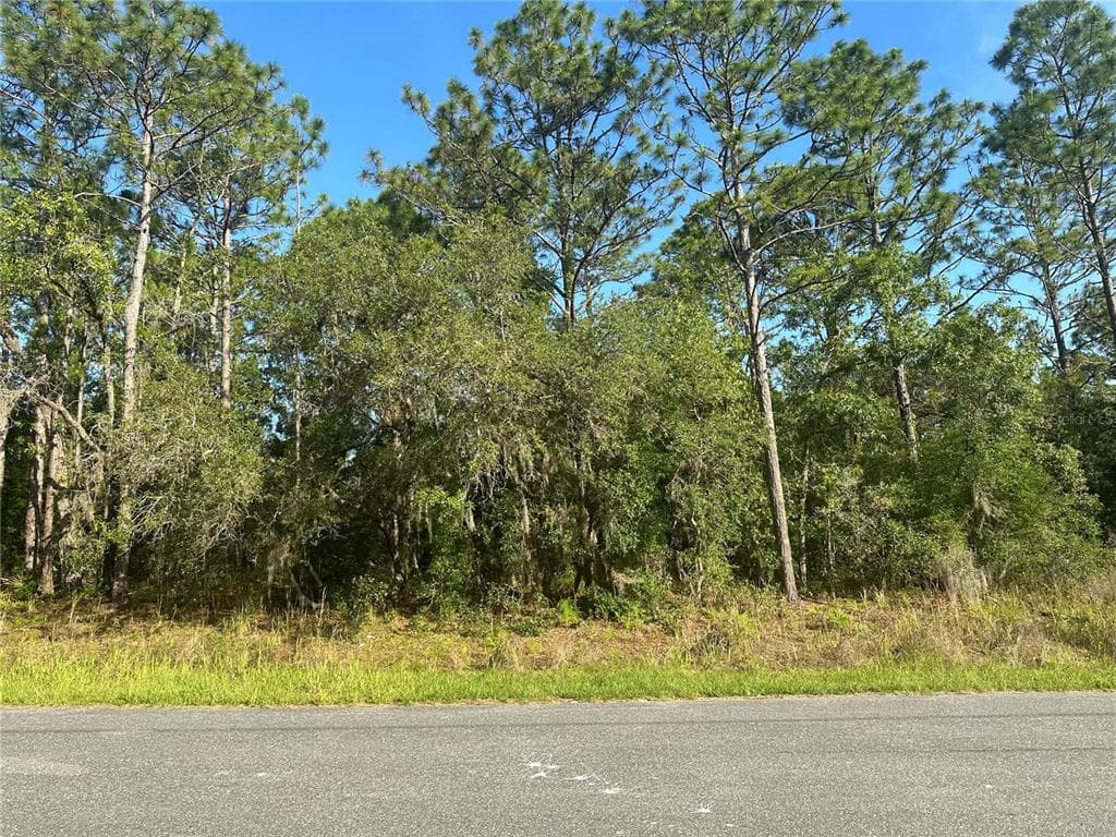 8020 N TRIANA DRIVE CITRUS SPRINGS, FL 34434