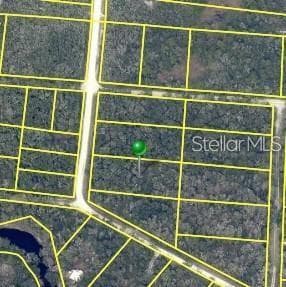 7490 SHASTA STREET WEBSTER, FL 33597