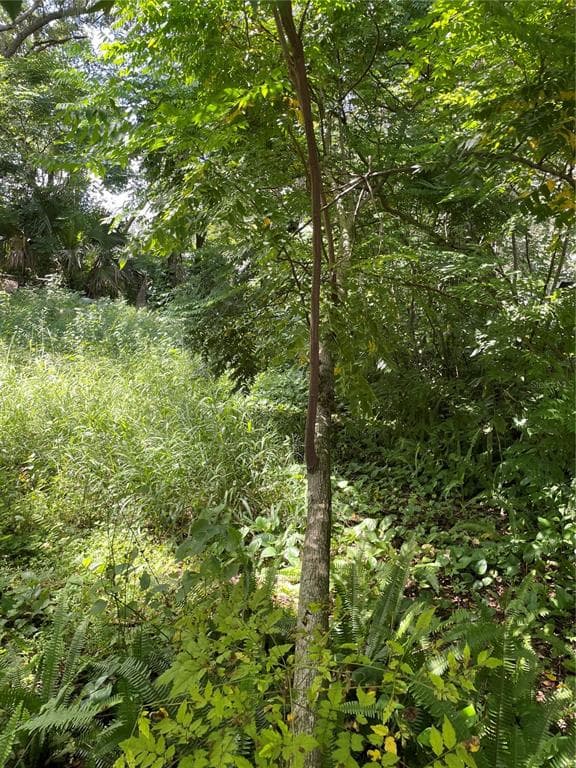 7507 PENNSYLVANIA DRIVE TAMPA, FL 33619