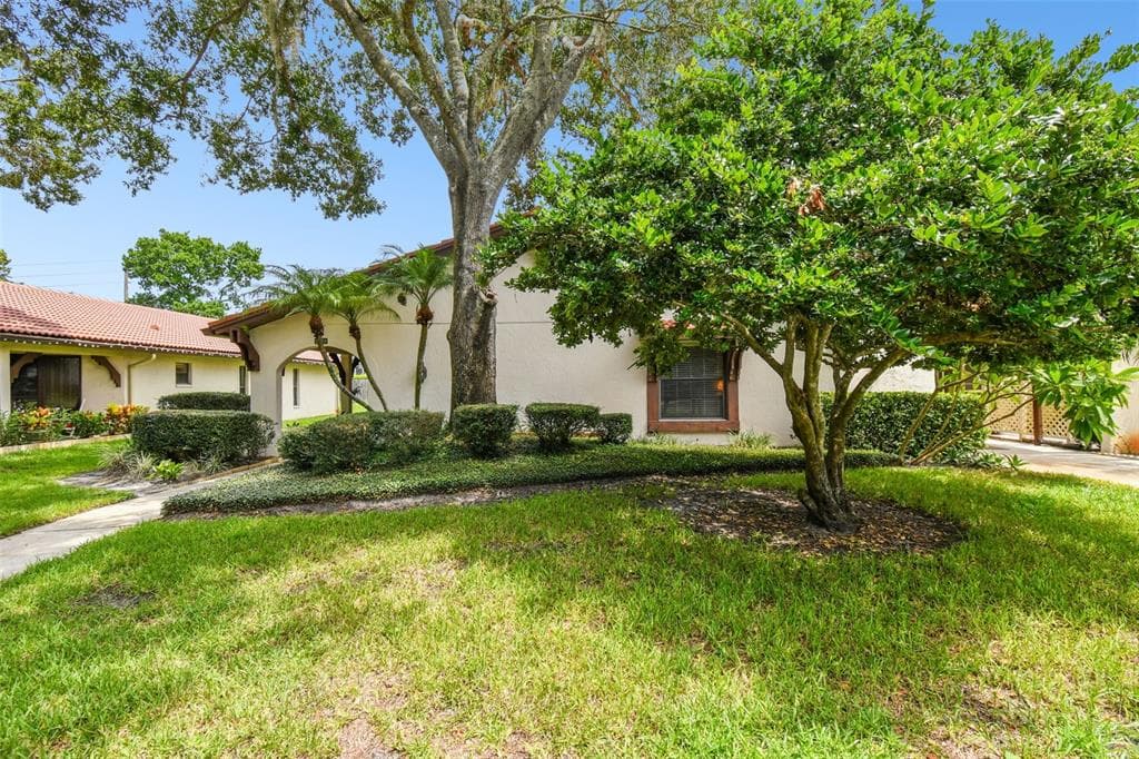3478 TARPON WOODS BOULEVARD PALM HARBOR, FL 34685